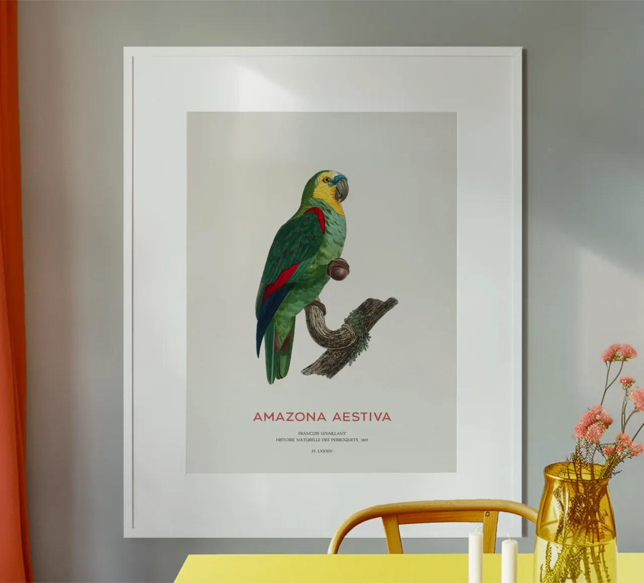 Amazzone dalla fronte turchese o Amazona aestiva poster con telaio in plastica da Vintagrafica