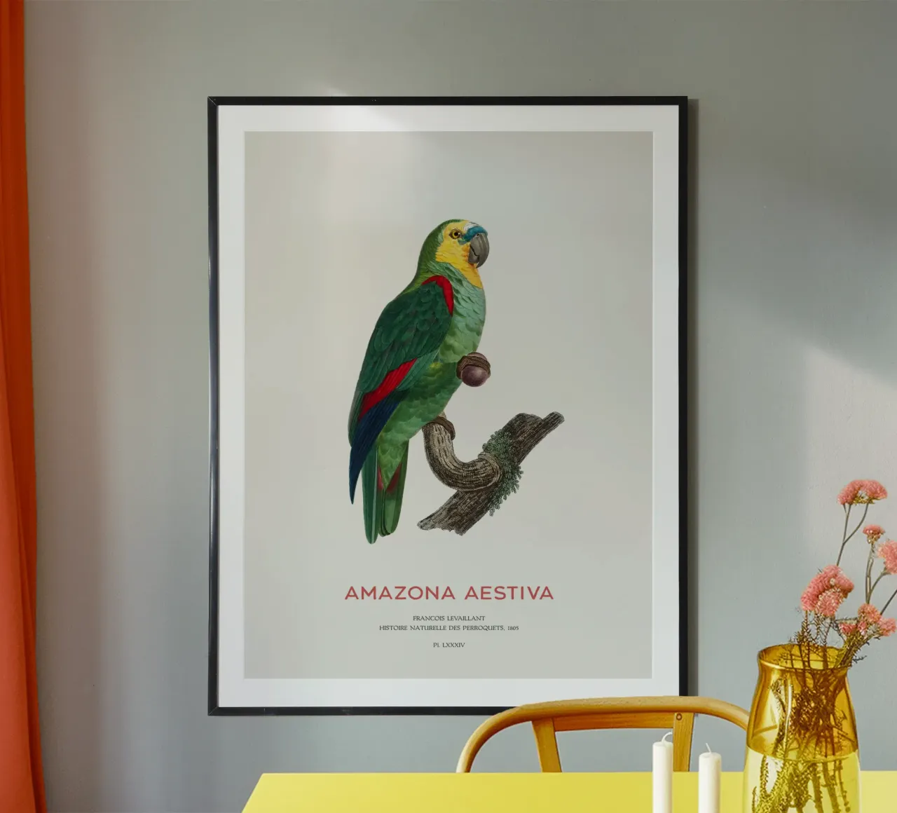Amazzone dalla fronte turchese o Amazona aestiva poster con telaio in plastica da Vintagrafica