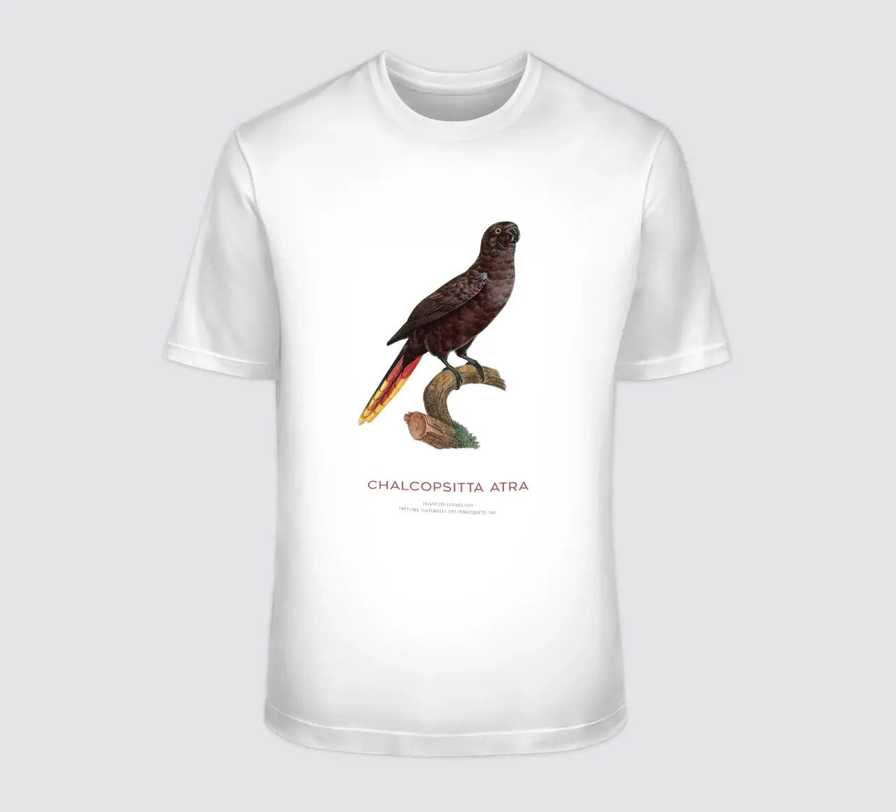 Schwarzer Lori oder Chalcopsitta Atra T-Shirt von Vintagrafica