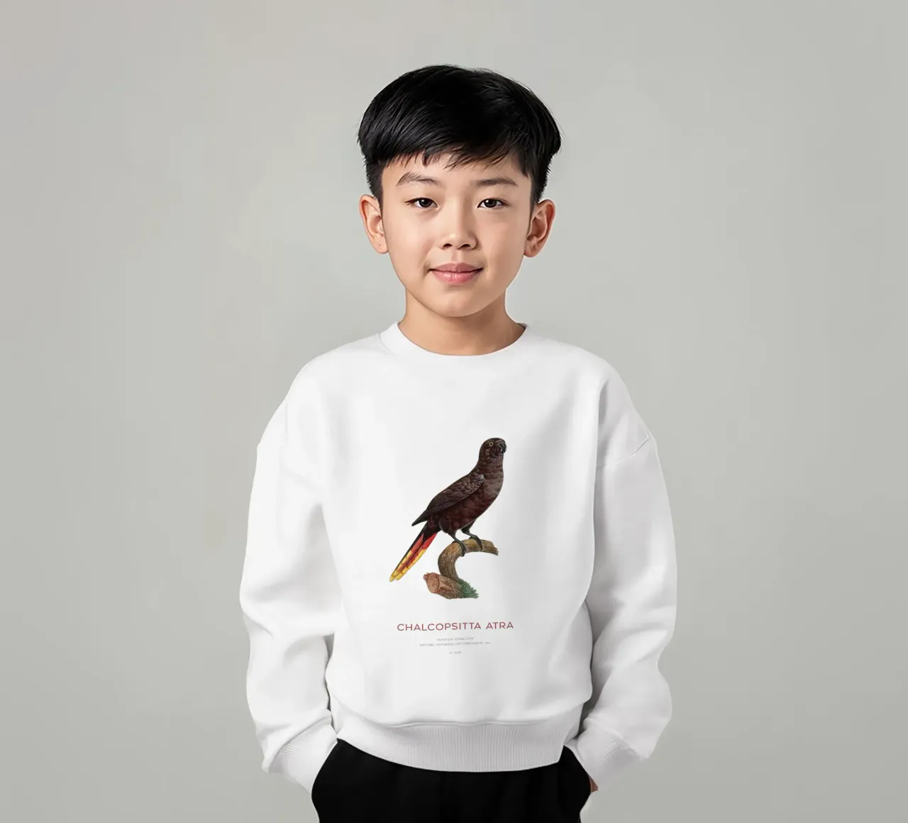 Loria nera o Chalcopsitta Atra felpa bambino da Vintagrafica