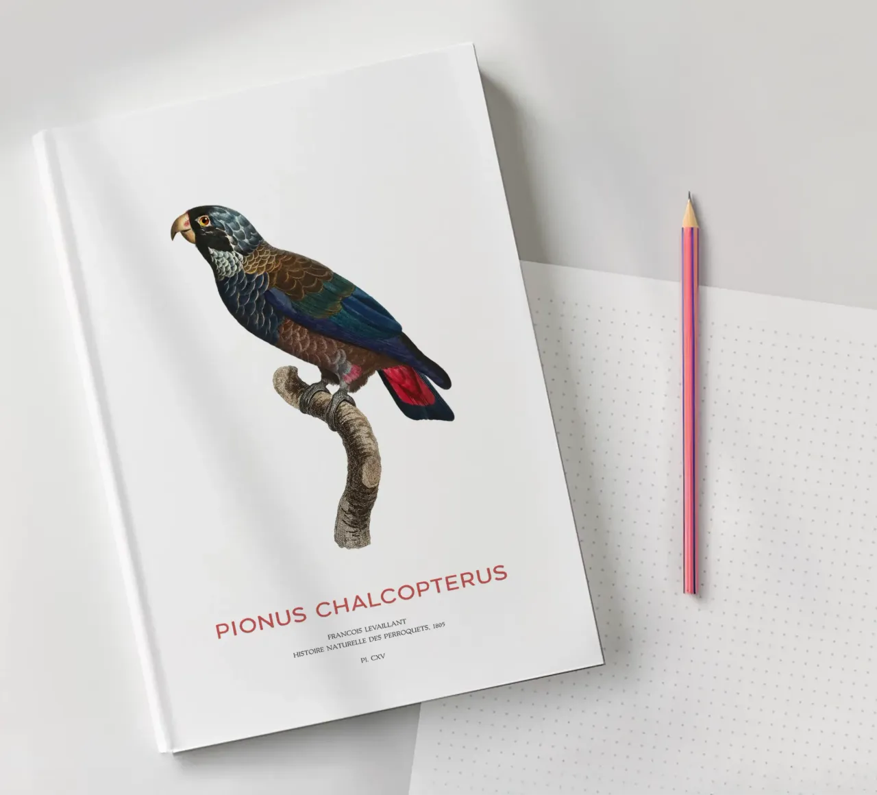 Bronze-winged parrot or Pionus Chalcopterus notebook by Vintagrafica