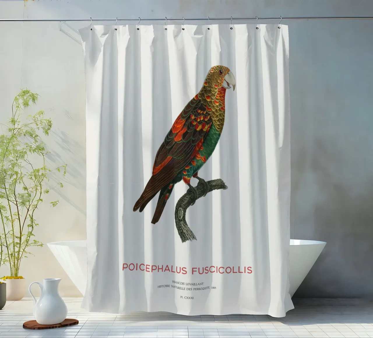 Pappagallo dal collo bruno o Poicephalus Fuscicollis tenda da doccia da Vintagrafica