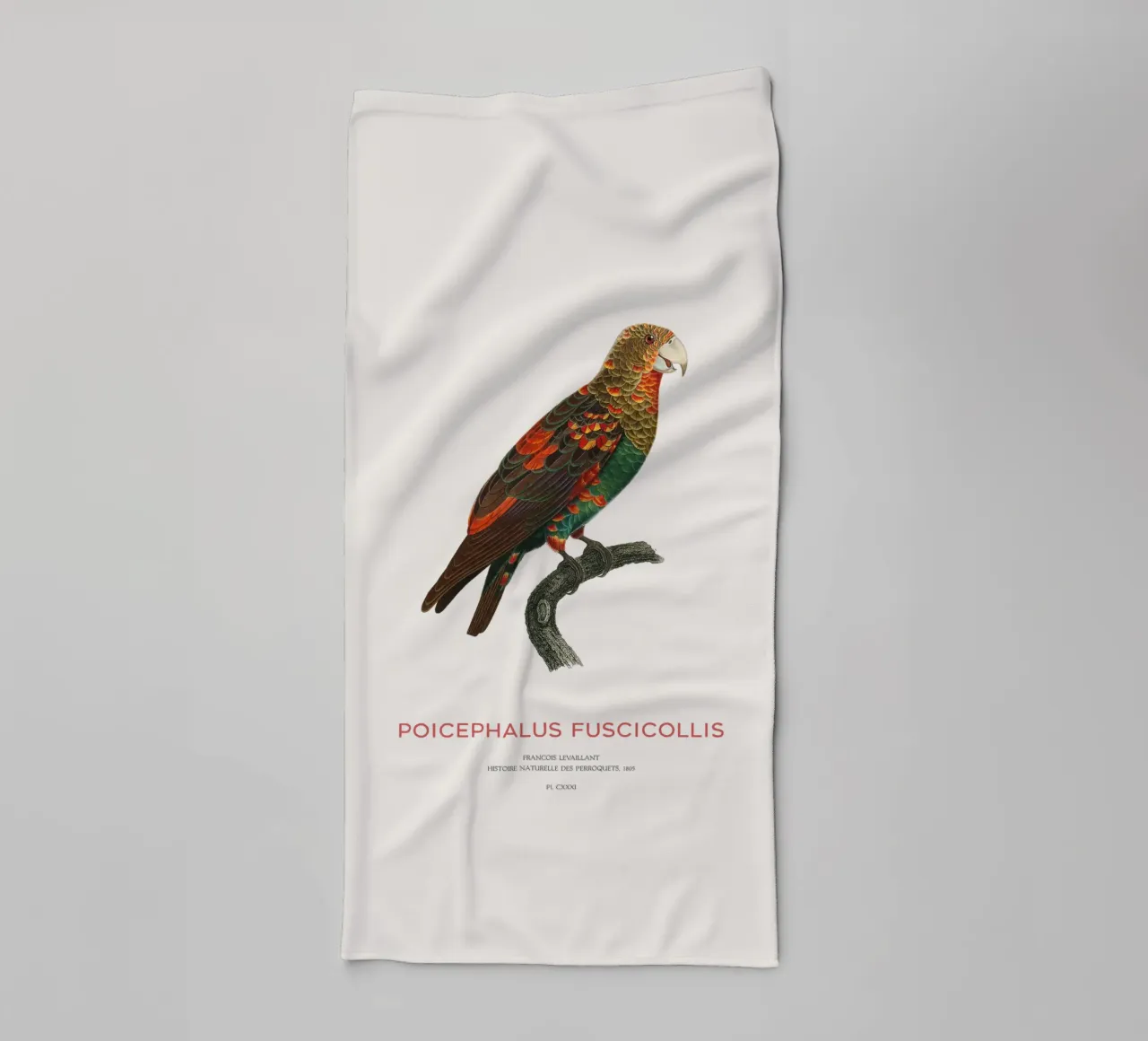Pappagallo dal collo bruno o Poicephalus Fuscicollis asciugamano da bagno da Vintagrafica