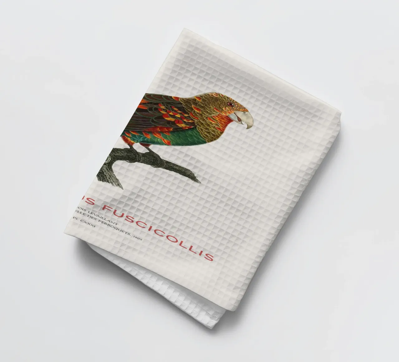 Pappagallo dal collo bruno o Poicephalus Fuscicollis canovaccio da cucina da Vintagrafica