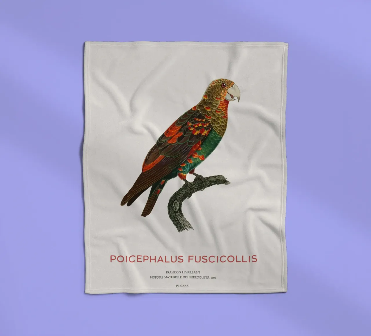 Pappagallo dal collo bruno o Poicephalus Fuscicollis coperta in pile da Vintagrafica