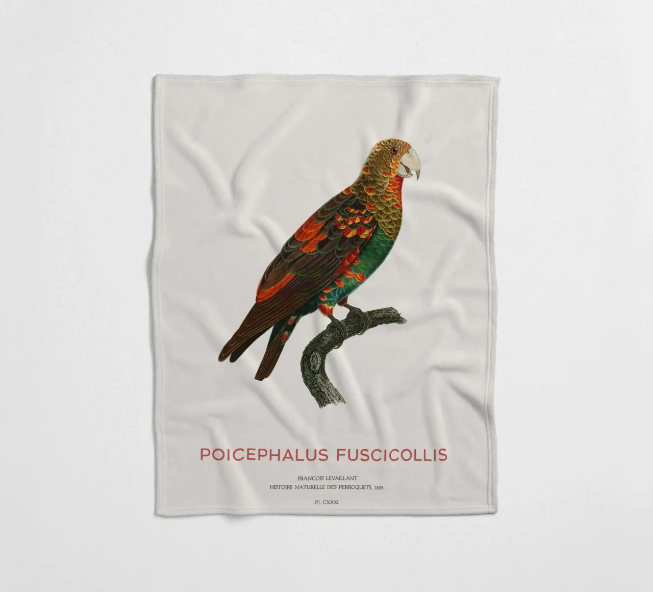 Pappagallo dal collo bruno o Poicephalus Fuscicollis coperta in pile da Vintagrafica