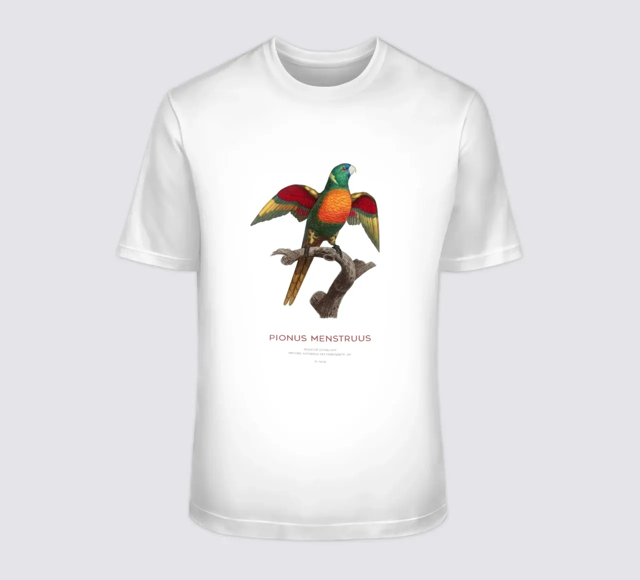 Blaukopfpapagei oder Pionus Menstruus T-Shirt von Vintagrafica
