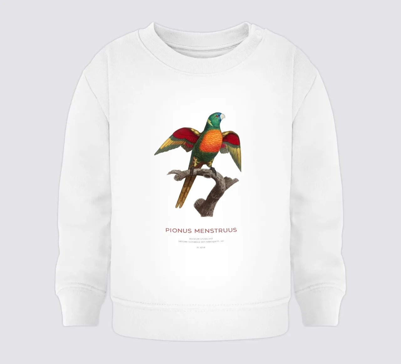 Pappagallo dalla testa blu o Pionus Menstruus felpa neonato da Vintagrafica