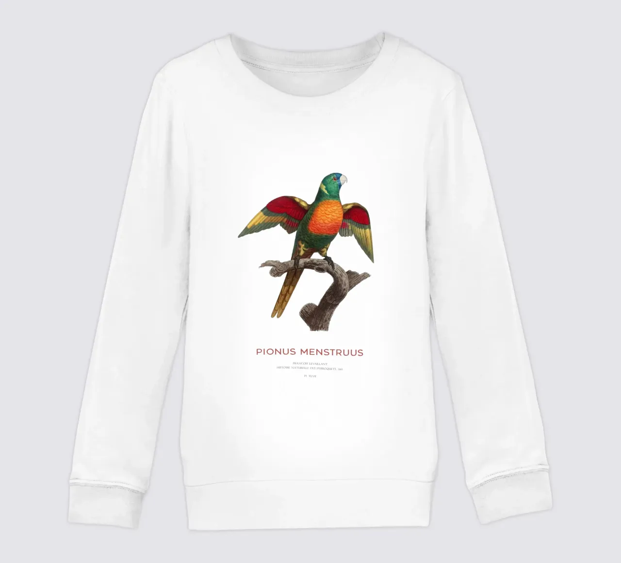 Pappagallo dalla testa blu o Pionus Menstruus felpa bambino da Vintagrafica