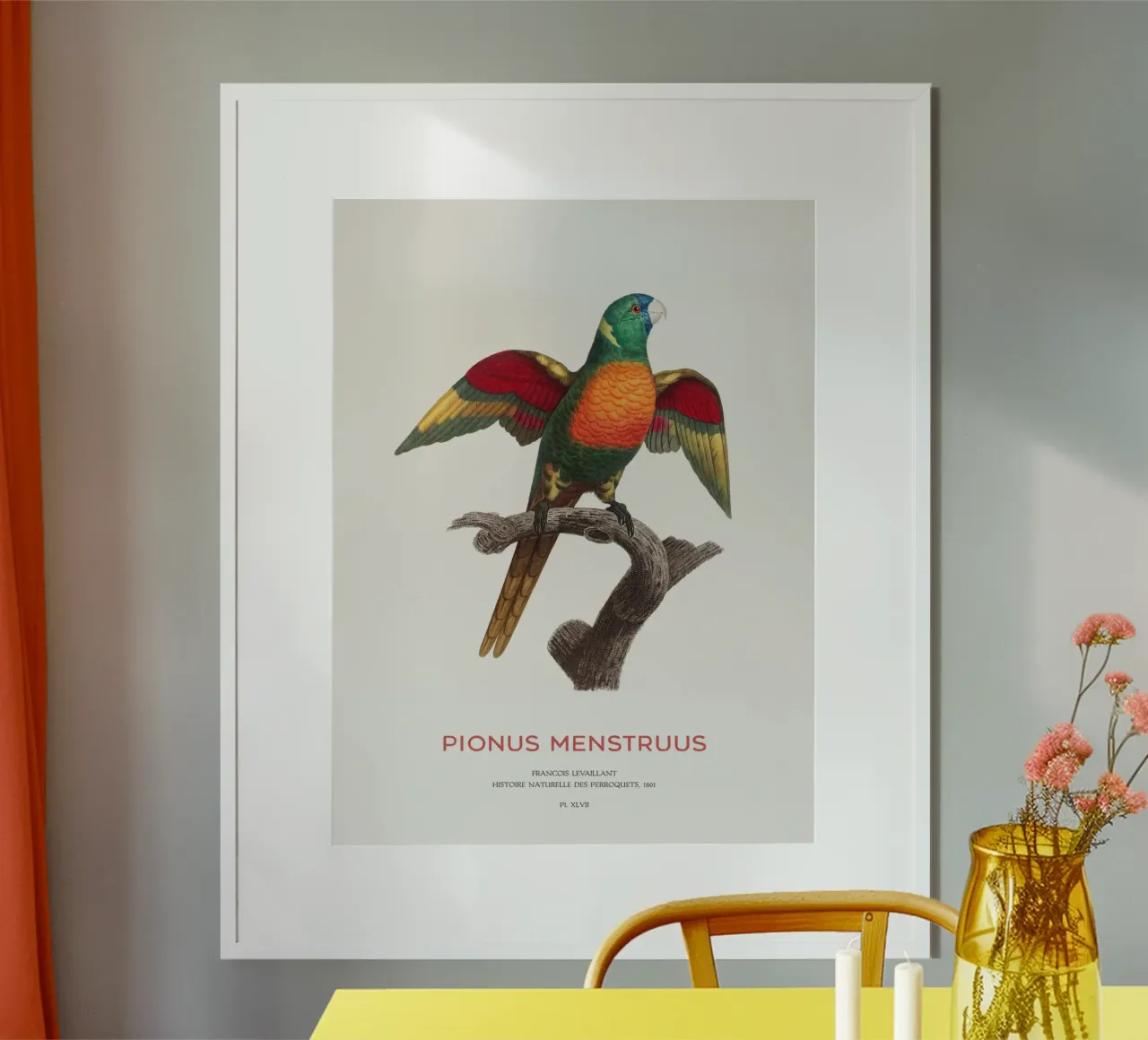 Blaukopfpapagei oder Pionus Menstruus Hahnemühle von Vintagrafica