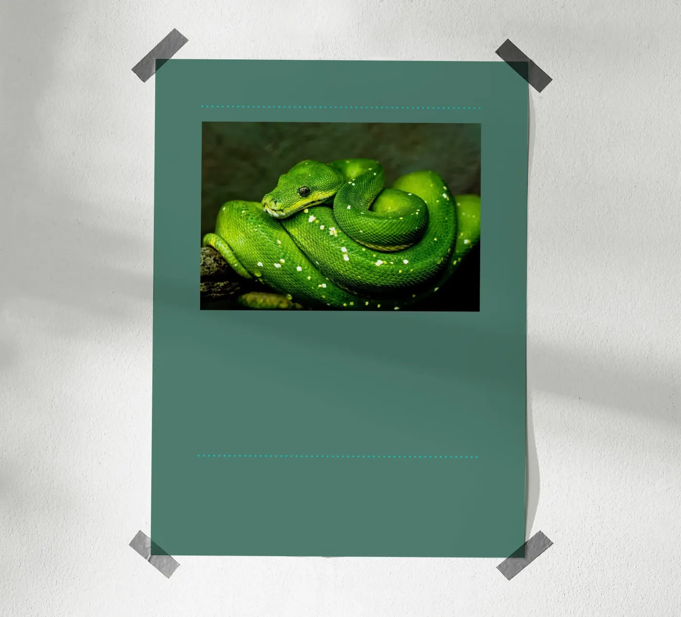 Test poster de HI! there