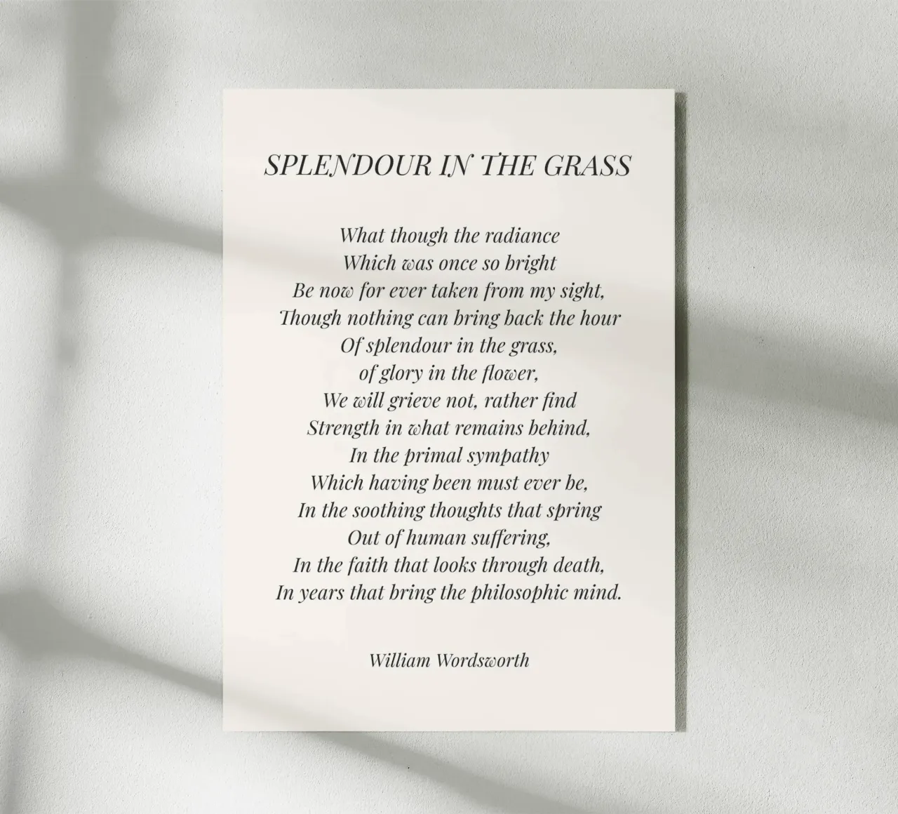 Cita de Splendour in the grass metacrilato de Paigaam Studio