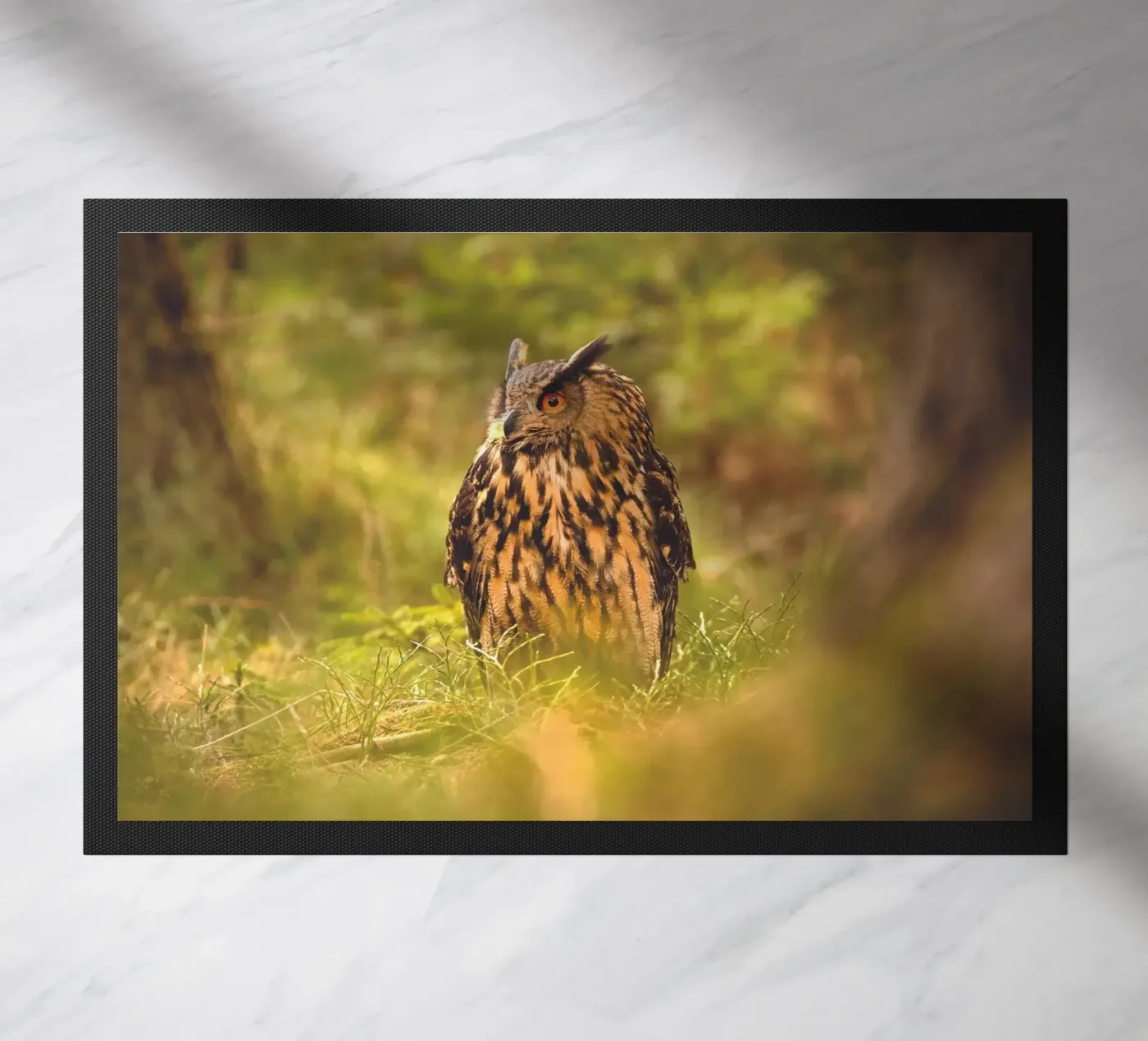 Eagle Owl zerbino da Dave Hare Photography