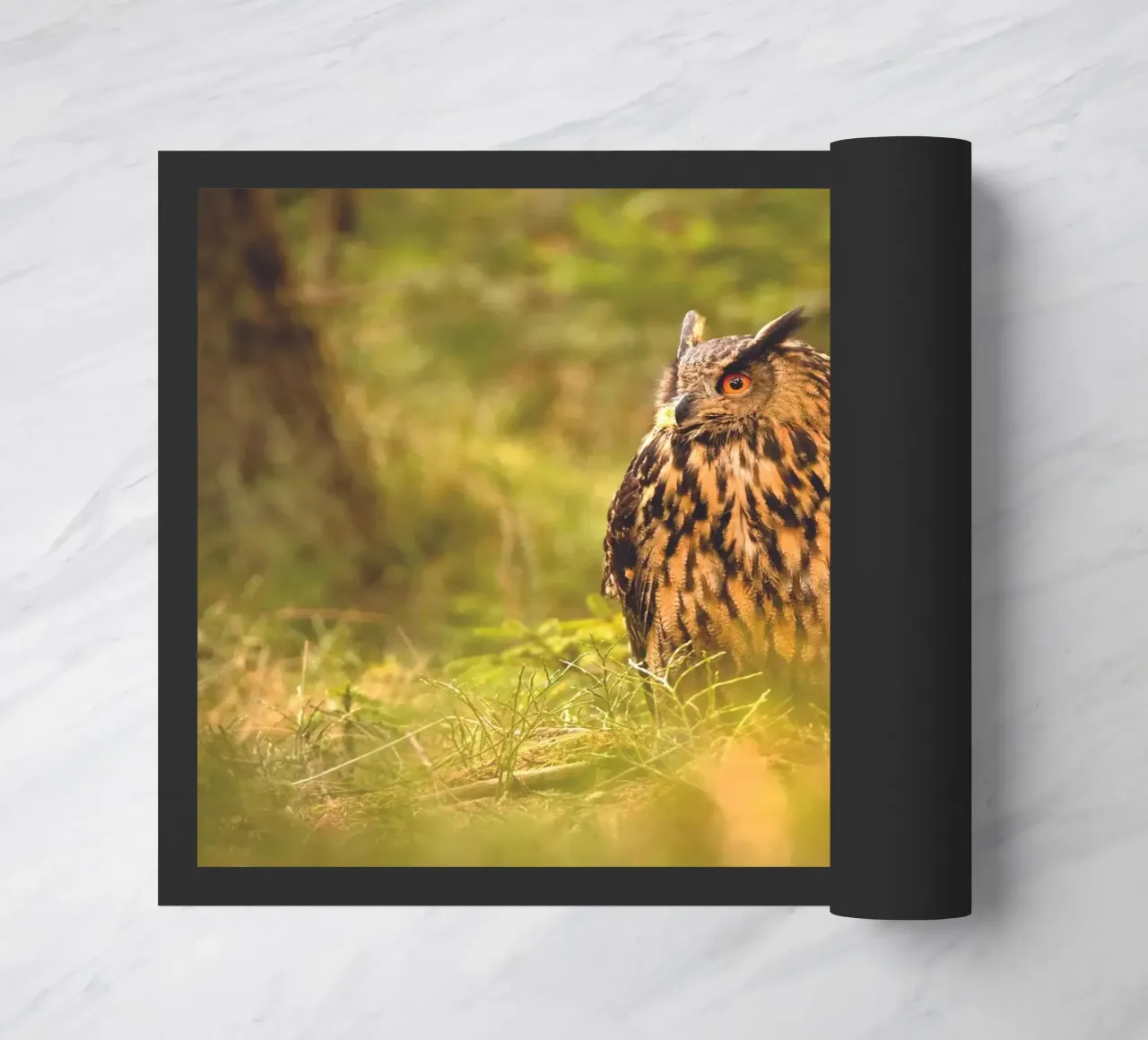 Eagle Owl zerbino da Dave Hare Photography