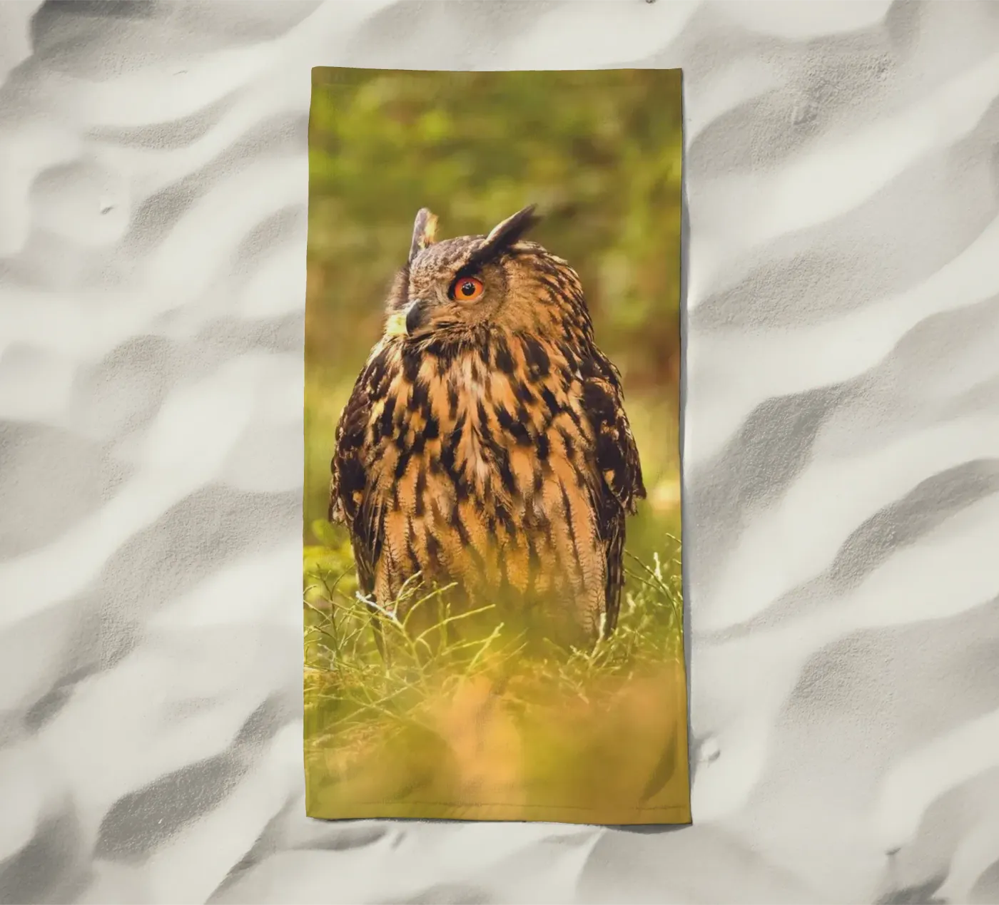 Eagle Owl telo mare da Dave Hare Photography