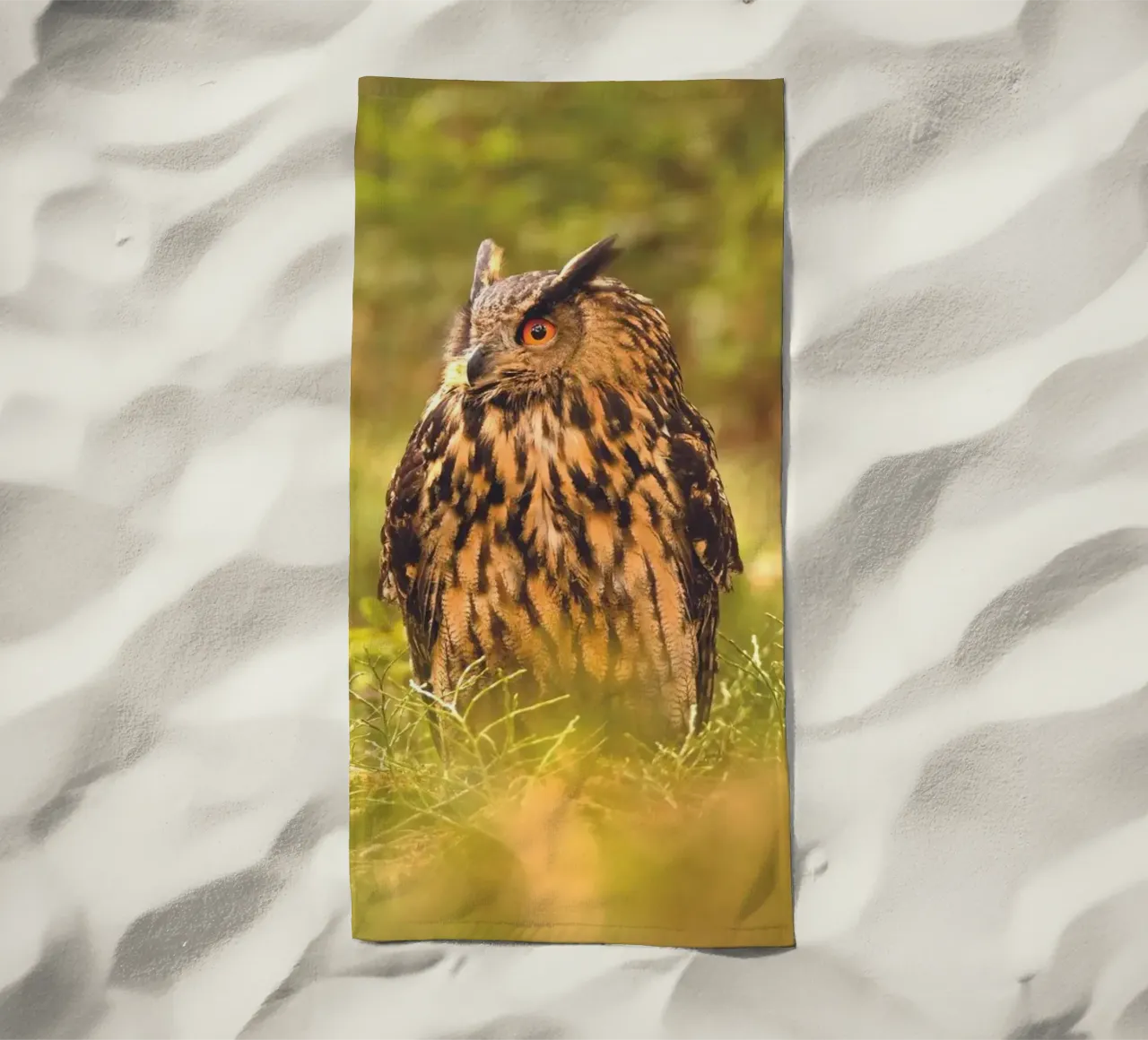 Eagle Owl telo mare da Dave Hare Photography