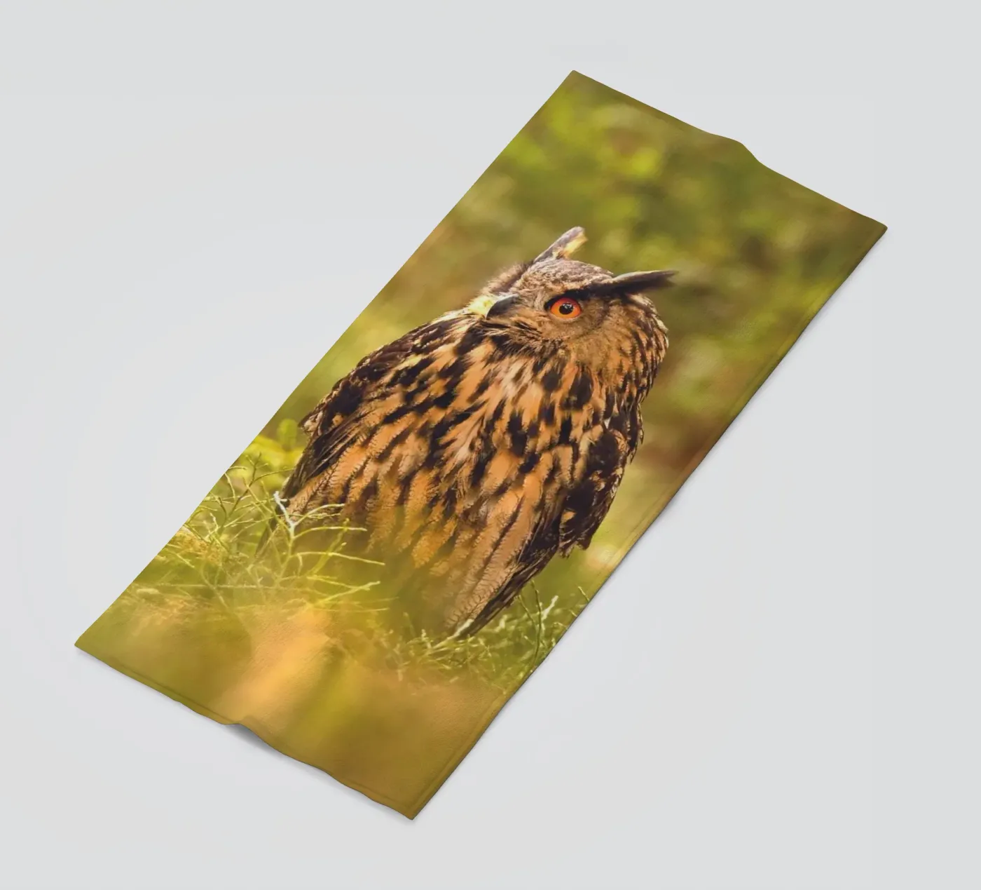 Eagle Owl telo mare da Dave Hare Photography