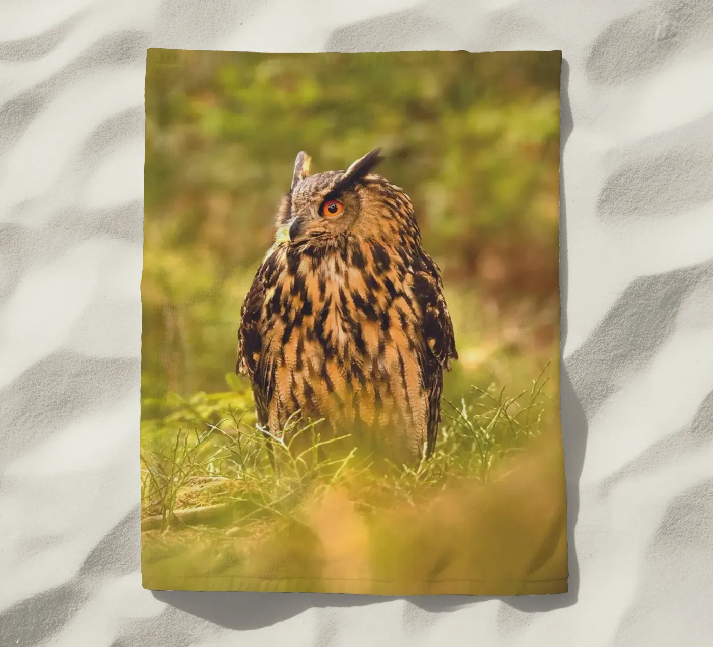 Eagle Owl telo mare da Dave Hare Photography
