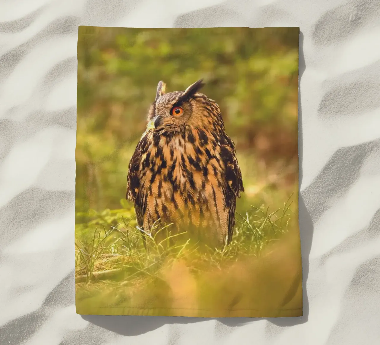 Eagle Owl telo mare da Dave Hare Photography