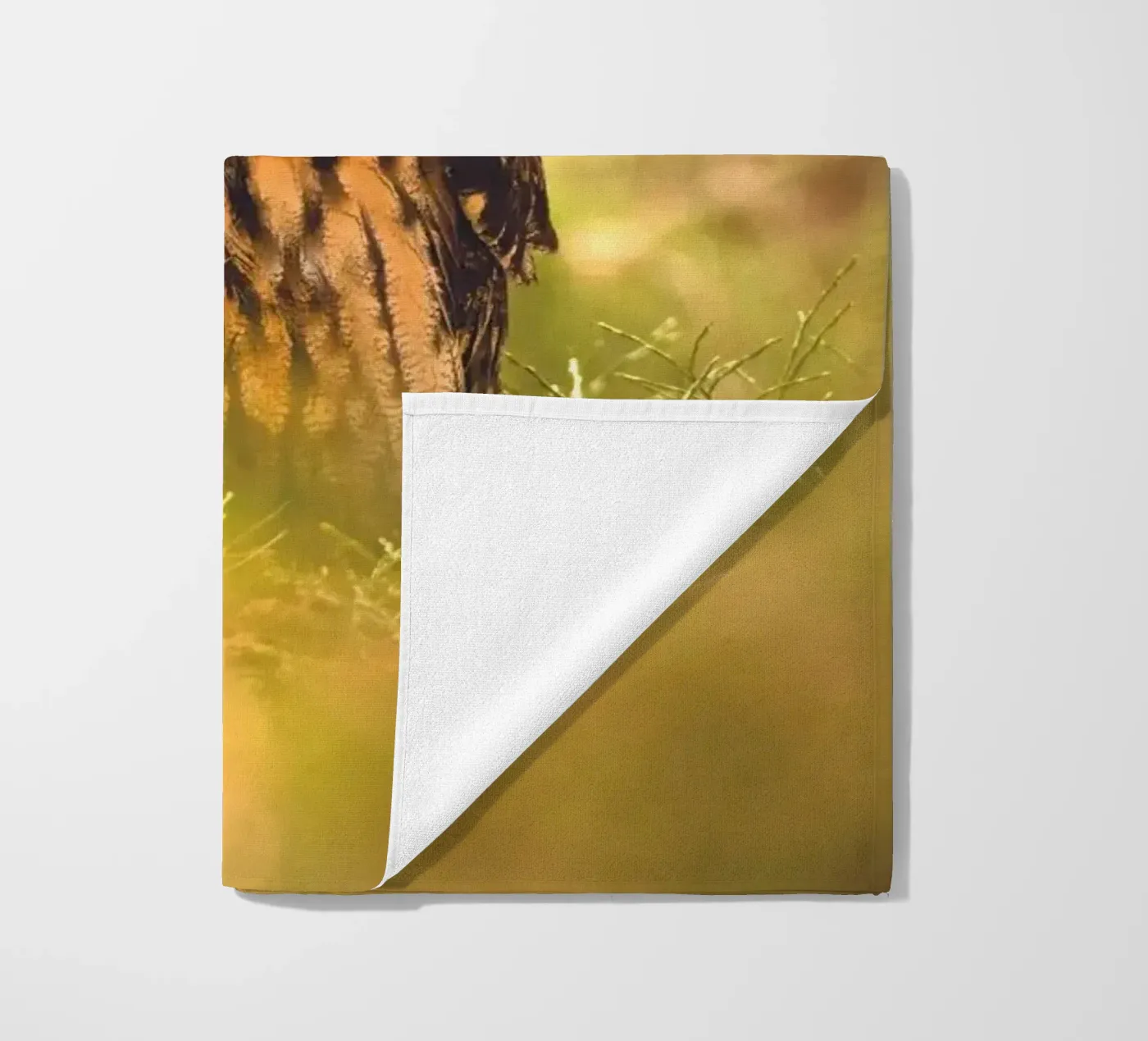 Eagle Owl telo mare da Dave Hare Photography