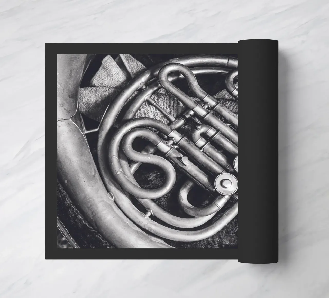 Corno francese zerbino da Dave Hare Photography