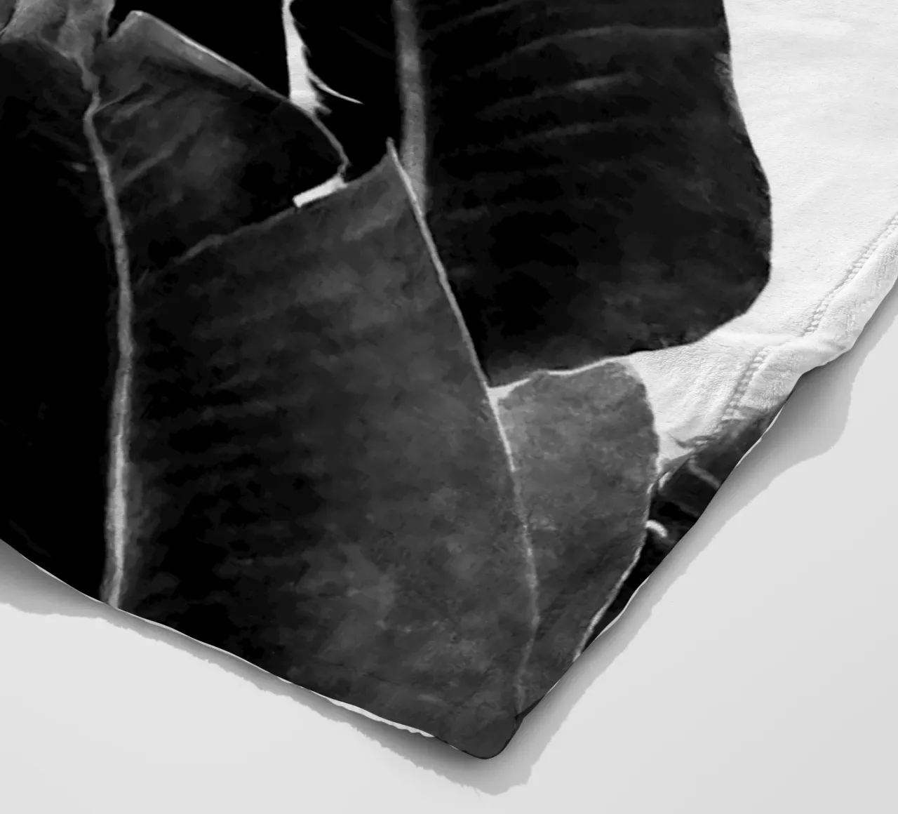Uccello del Paradiso Pianta in bianco e nero 01 coperta in pile da amini54
