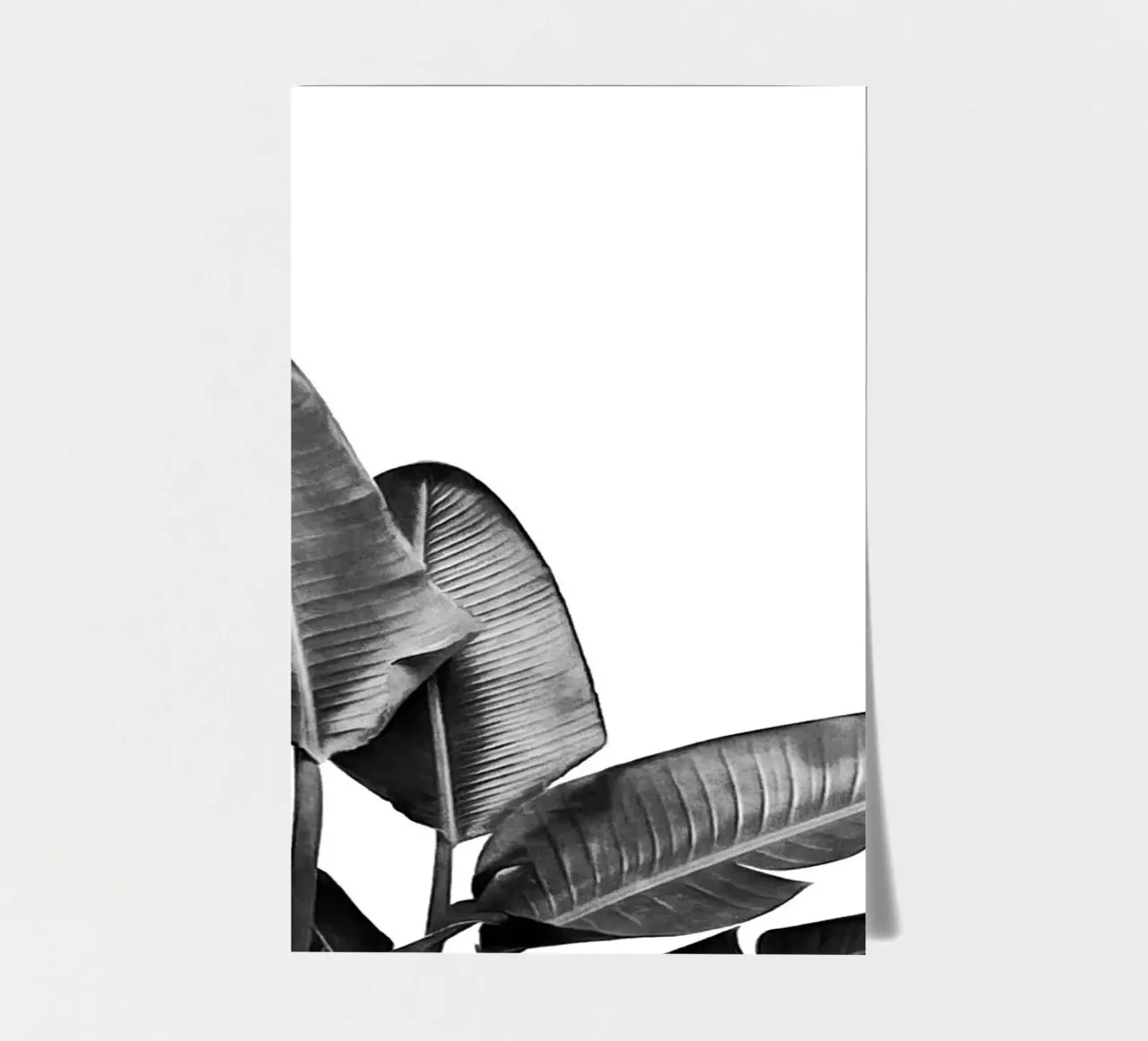 Bird of Paradise Plant Black and White 03 sticker sheet by amini54