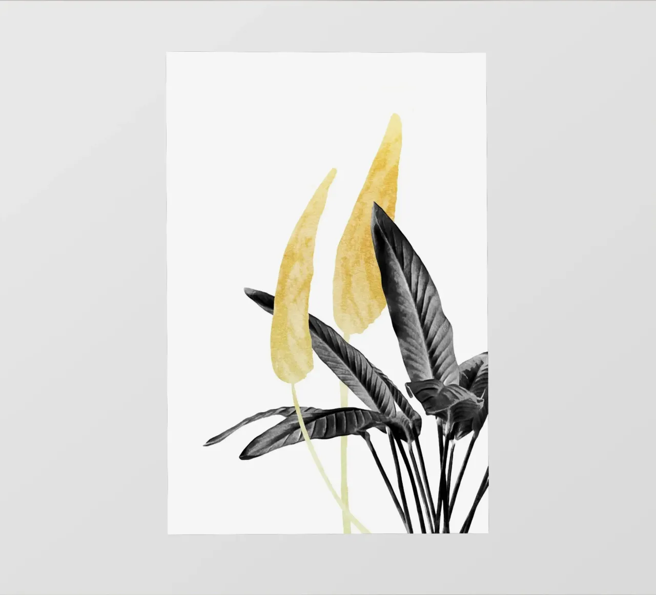 Bird of Paradise Plant Black, White and Gold 01 photo wallpaper by amini54