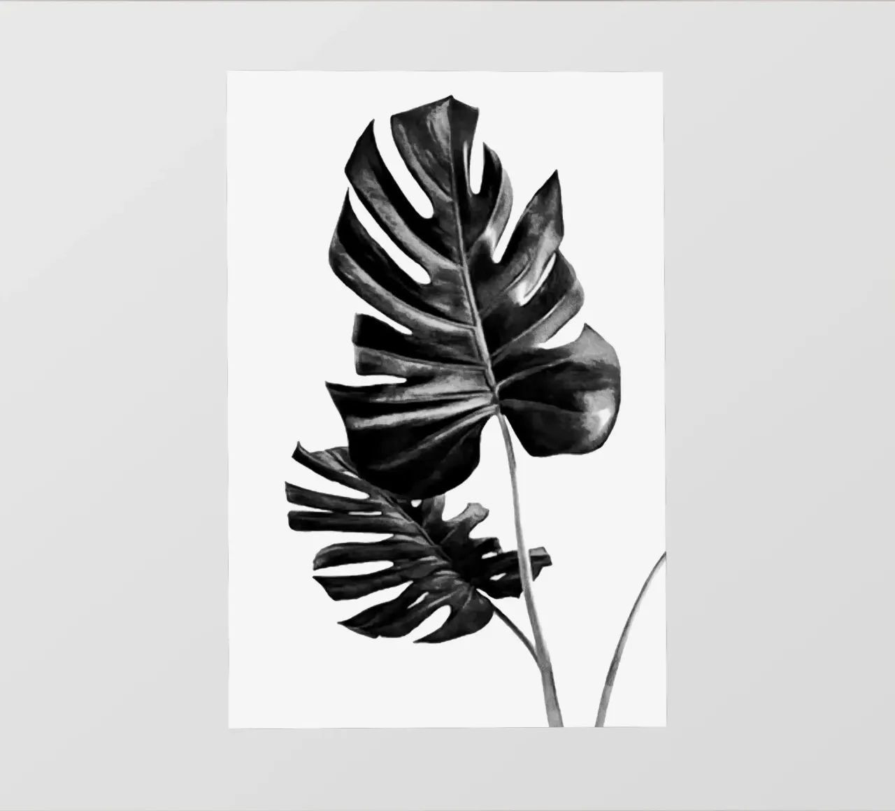 Monstera Black and White 01 photo wallpaper by amini54