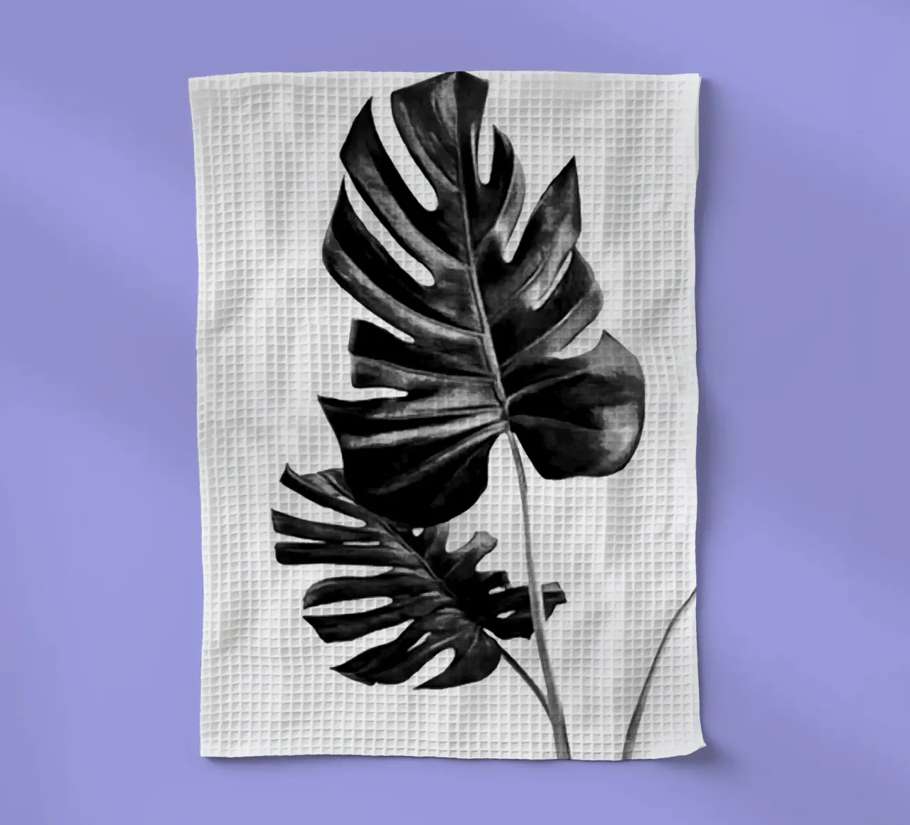 Monstera Bianco e Nero 01 canovaccio da cucina da amini54