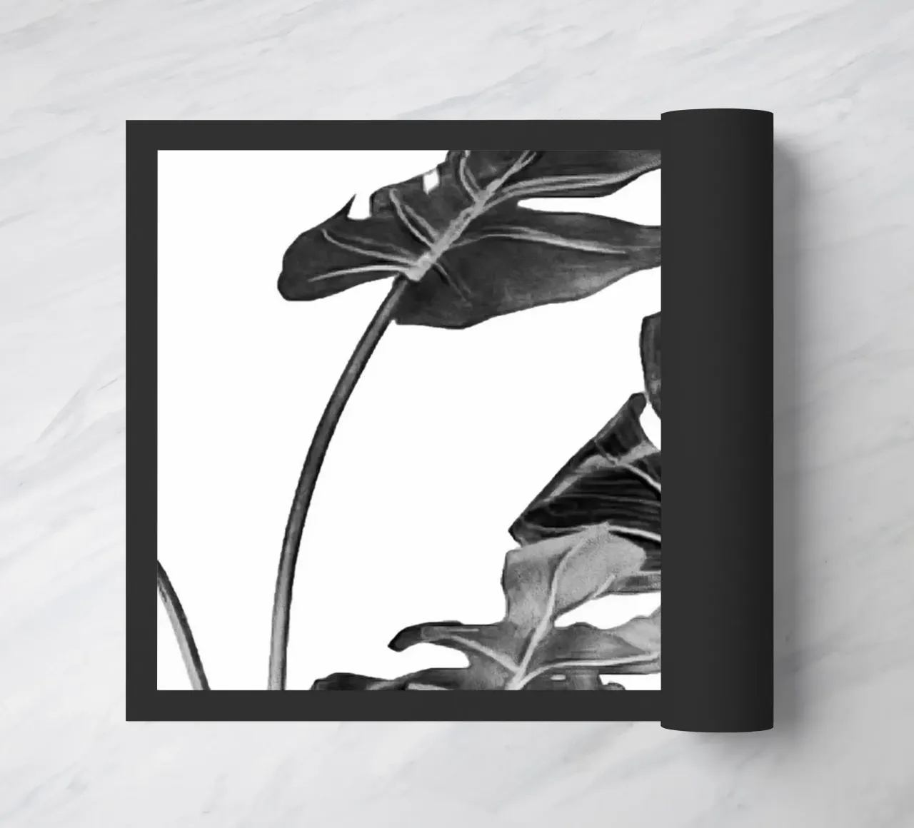 Monstera bianca e nera 02 zerbino da amini54