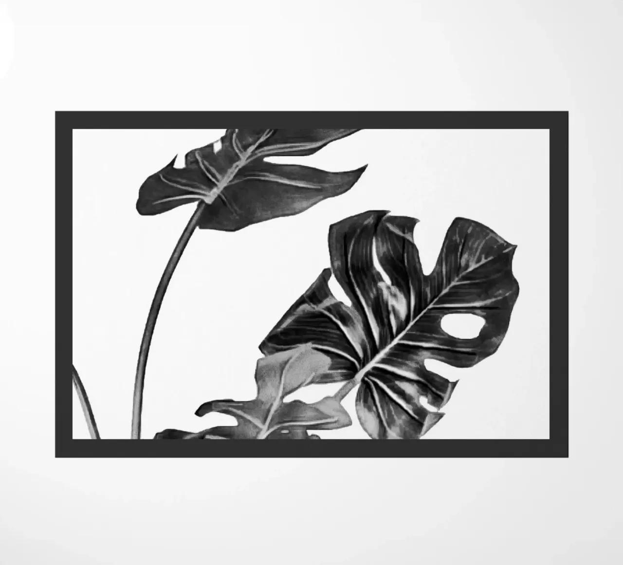 Monstera bianca e nera 02 zerbino da amini54