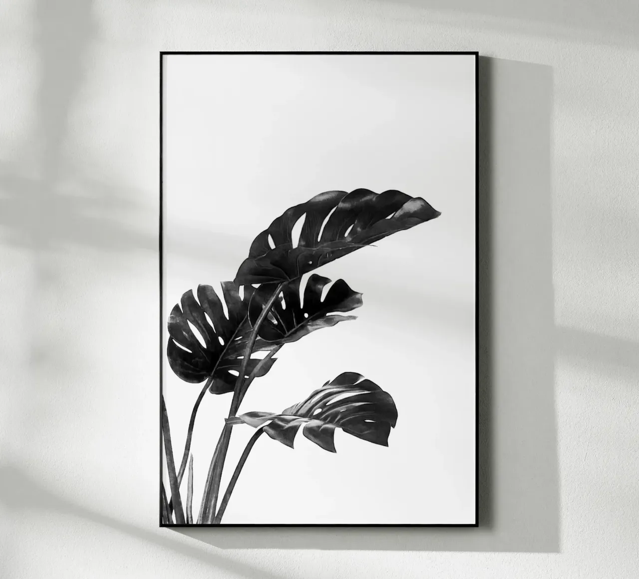 Monstera bianca e nera 03 plexiglass da amini54