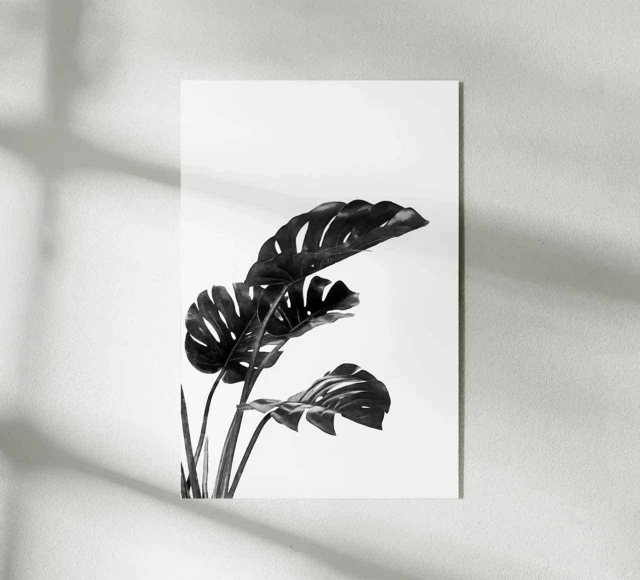Monstera bianca e nera 03 plexiglass da amini54