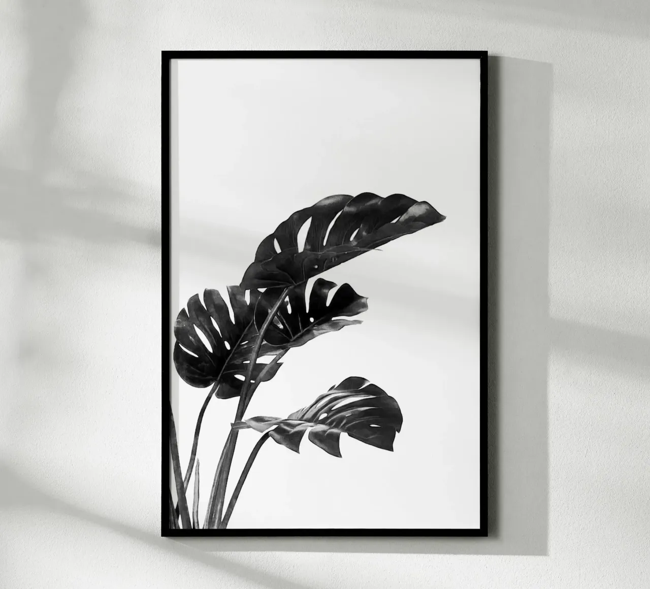 Monstera bianca e nera 03 poster da amini54