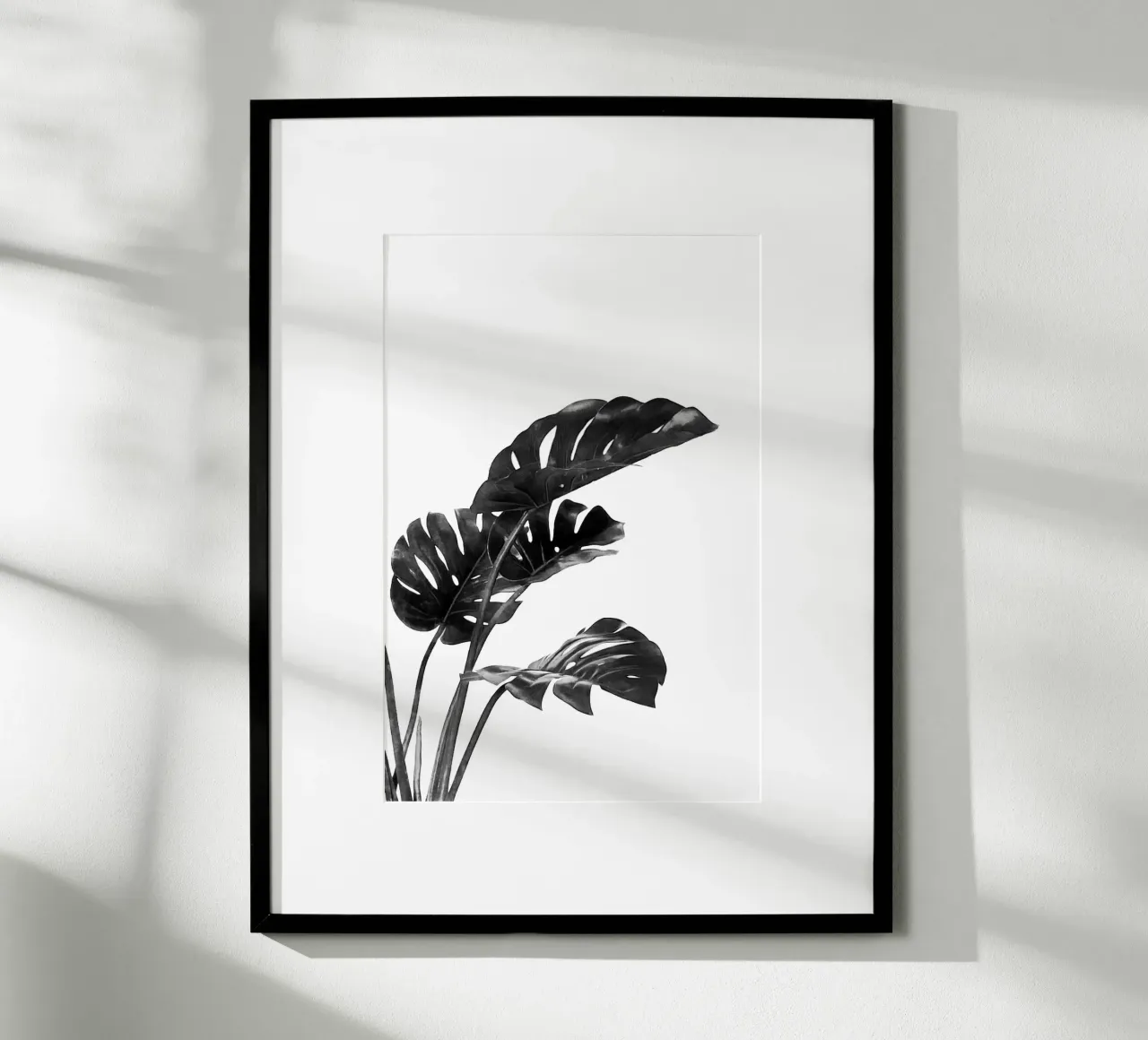 Monstera bianca e nera 03 poster da amini54
