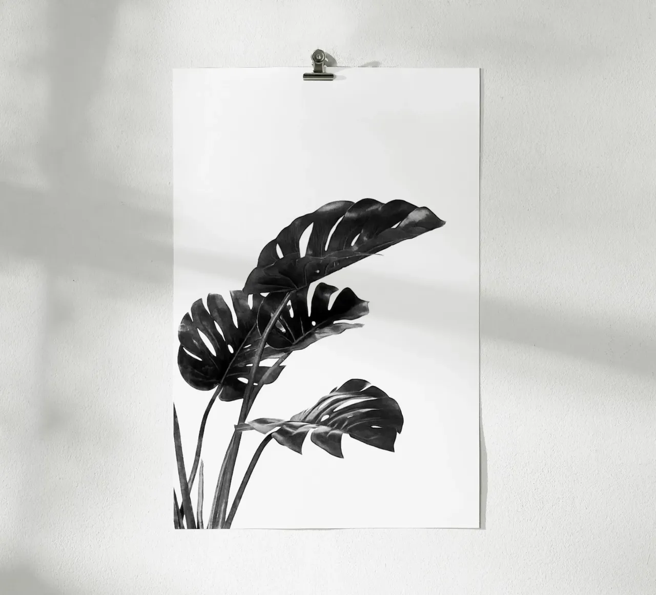 Monstera bianca e nera 03 poster da amini54