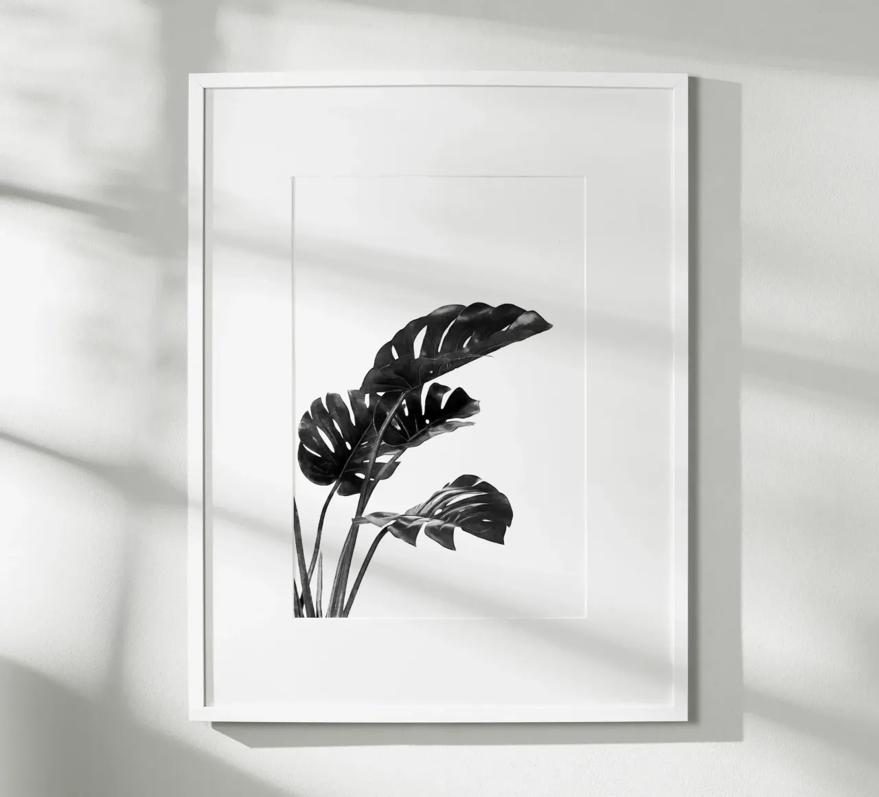 Monstera bianca e nera 03 poster da amini54