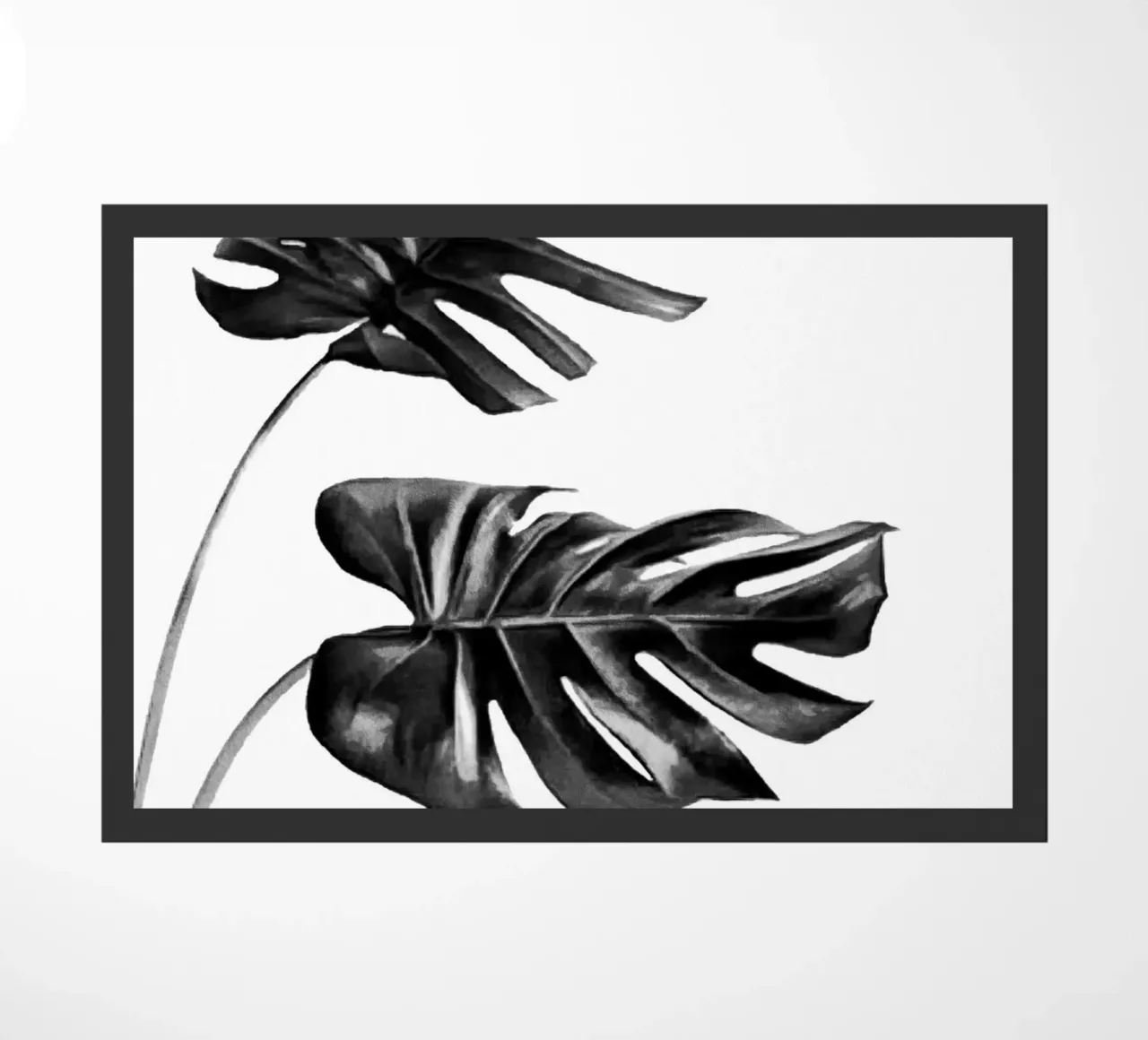 Monstera bianca e nera 04 zerbino da amini54