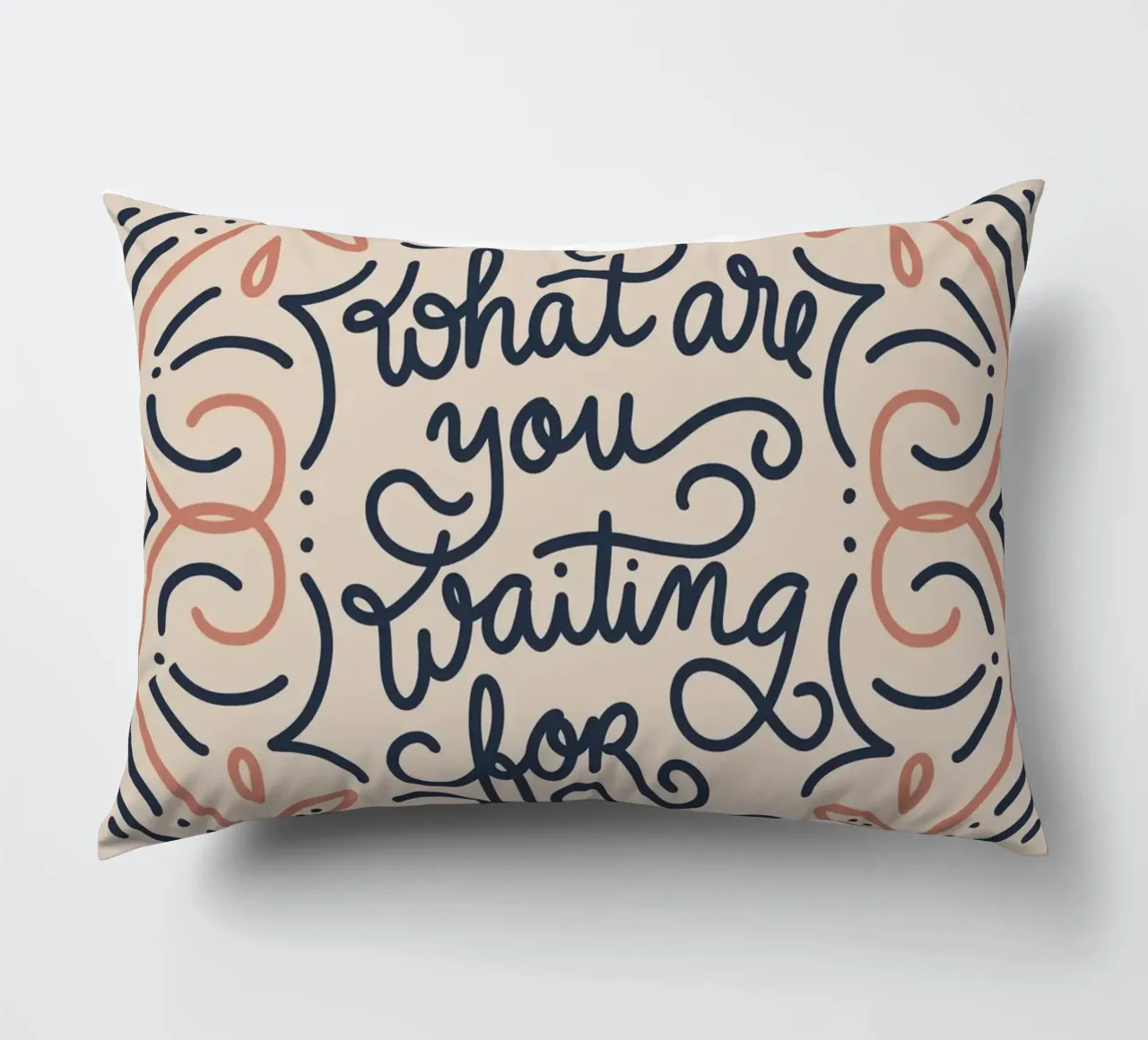 What are you waiting for? cojín de anisillustration