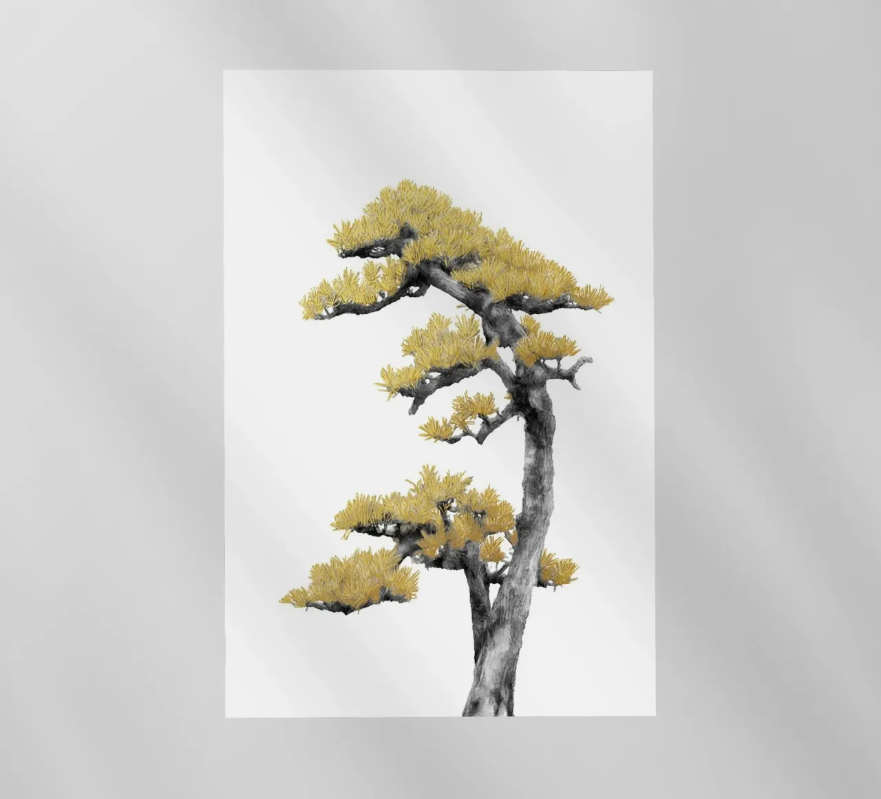 Bonsai Tree 04 pellicola backlit da amini54