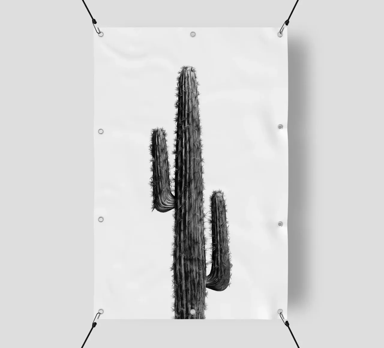 Cactus in bianco e nero 01 telo in pvc da amini54