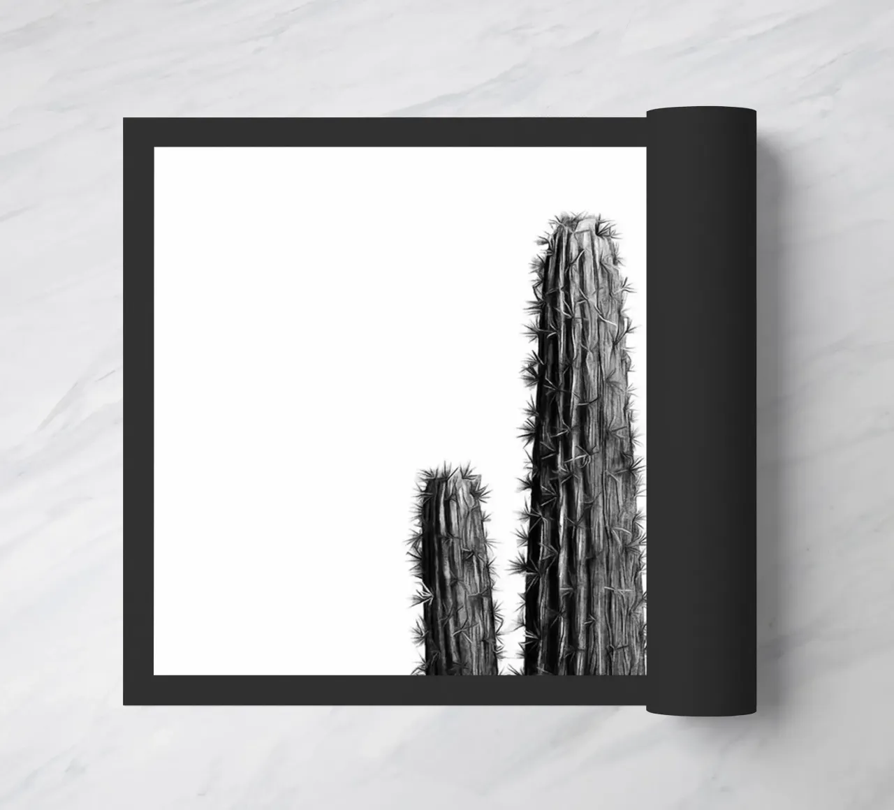 Cactus in bianco e nero 01 zerbino da amini54