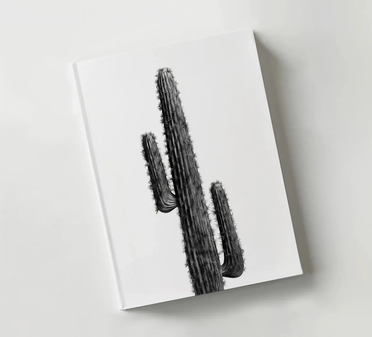 Cactus in bianco e nero 01 diario da amini54