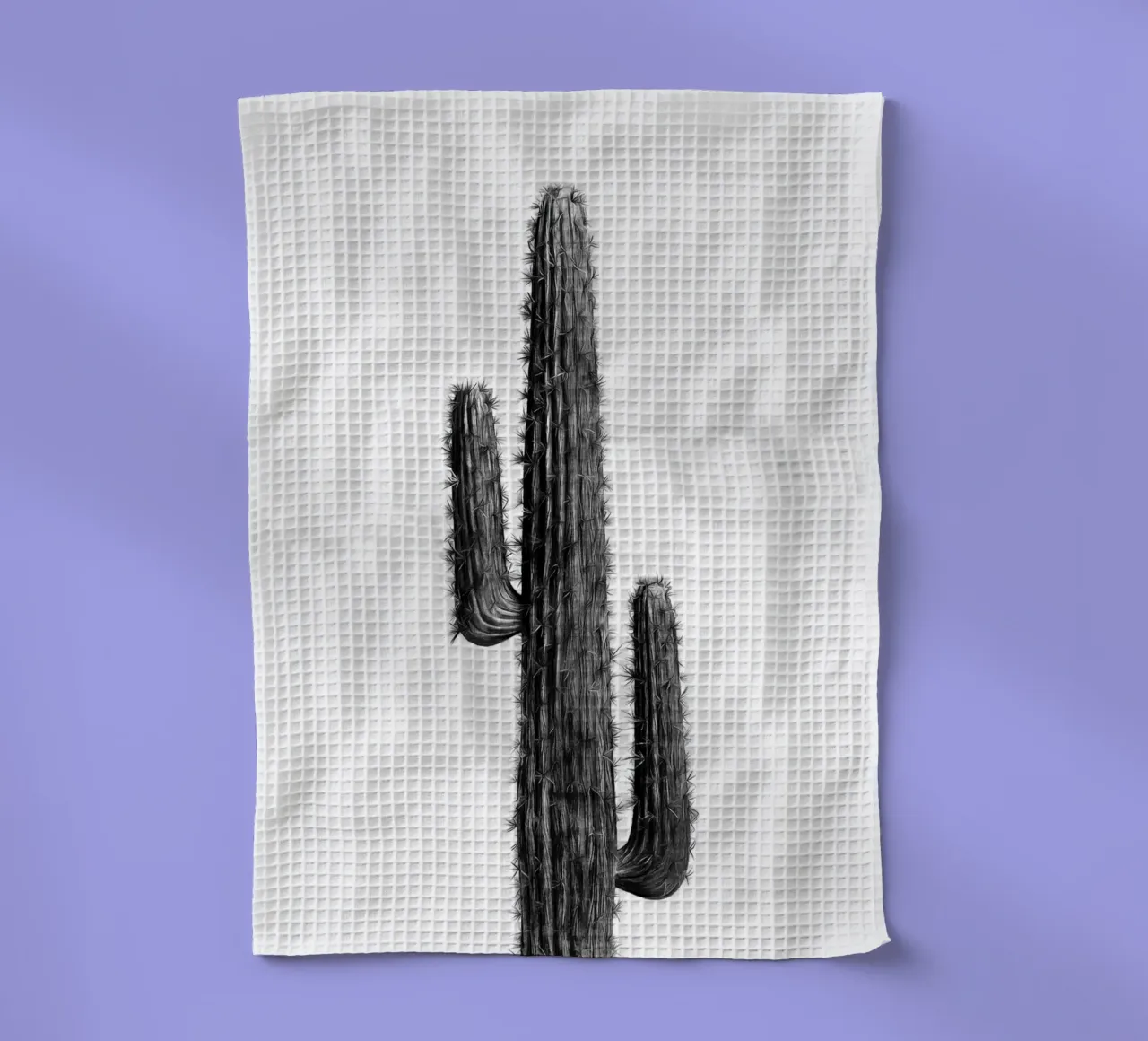 Cactus in bianco e nero 01 canovaccio da cucina da amini54