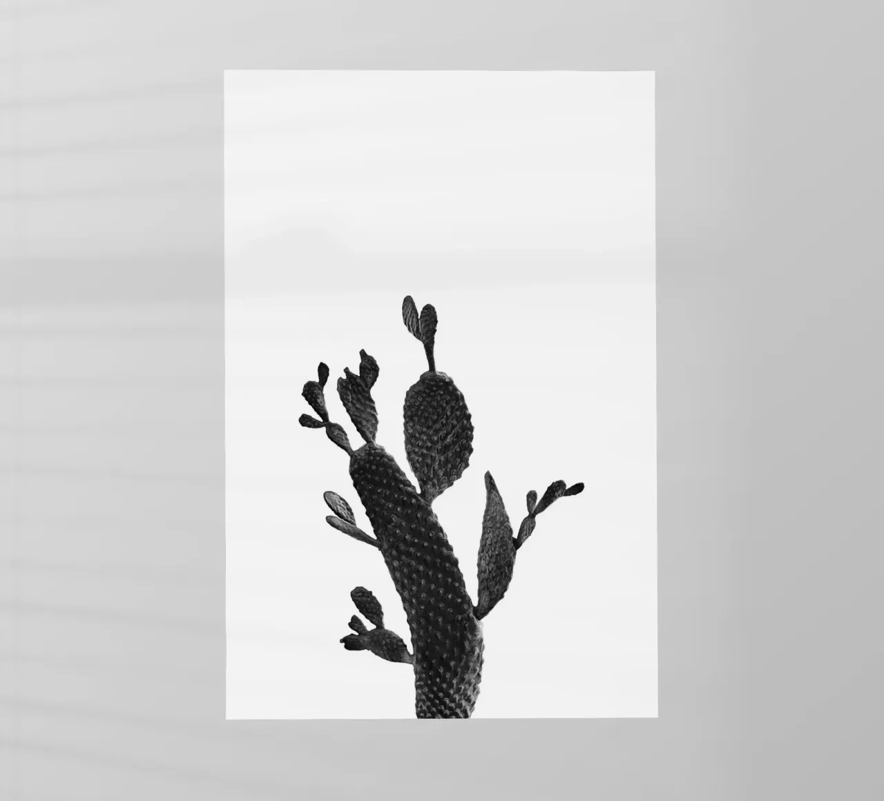 Cactus in bianco e nero 02 pellicola backlit da amini54