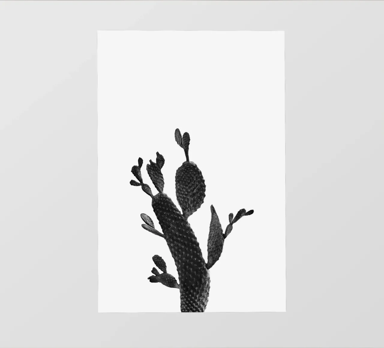 Cactus in bianco e nero 02 telo in pvc da amini54