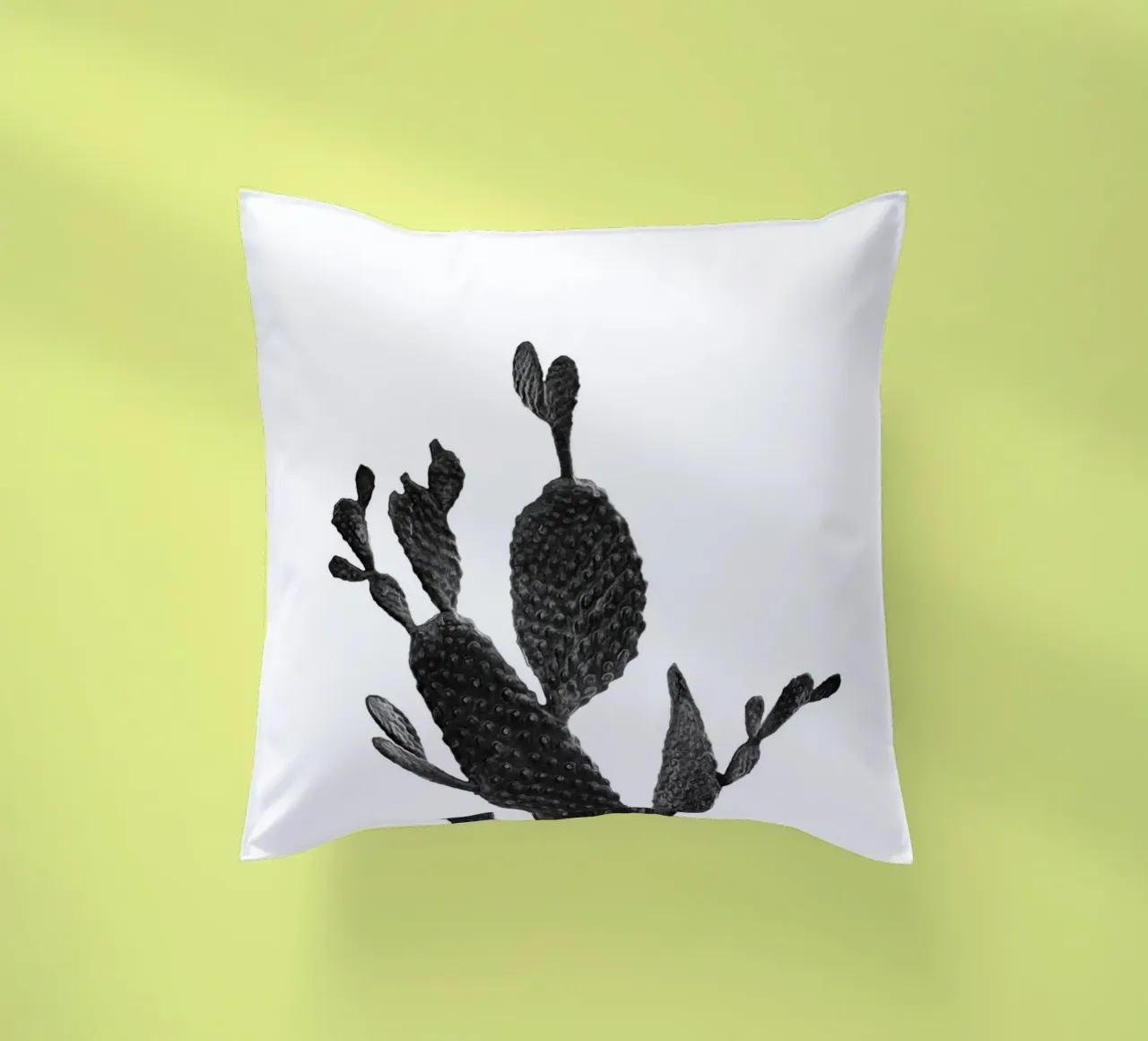 Cactus in bianco e nero 02 cuscino da amini54