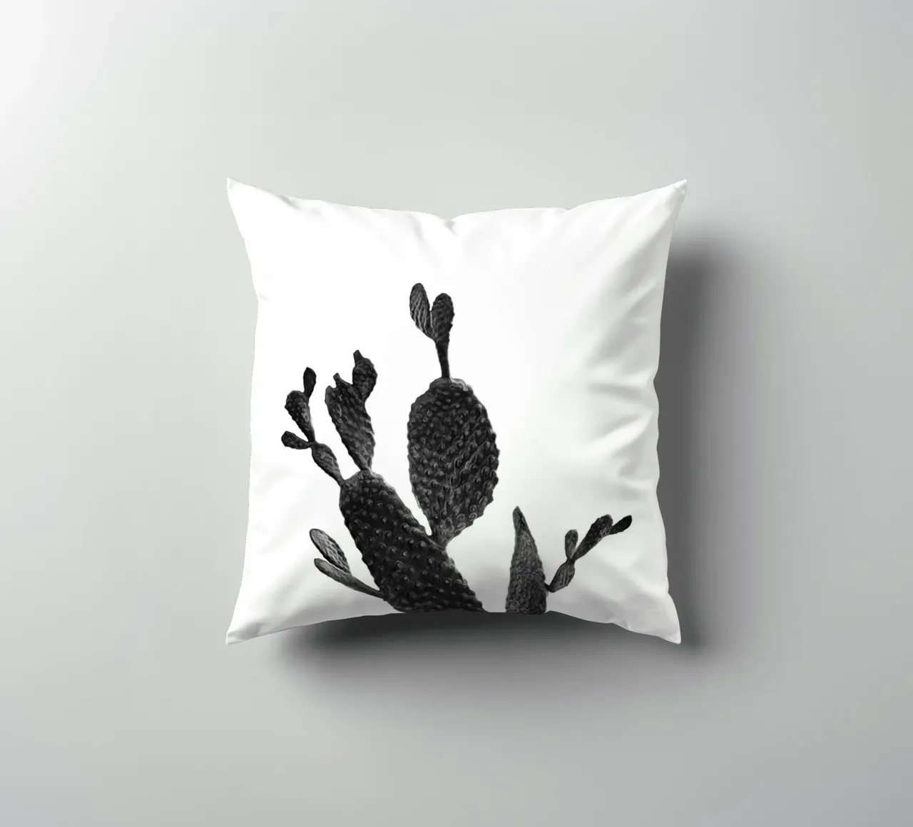 Cactus in bianco e nero 02 cuscino da amini54