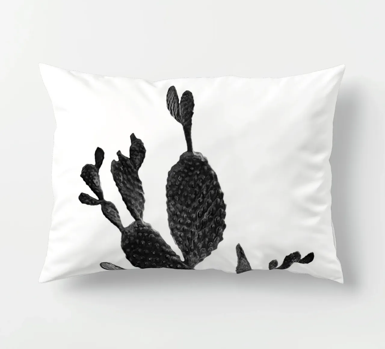 Cactus in bianco e nero 02 cuscino da amini54